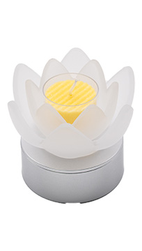 ロータスグレイス(スタンダード)