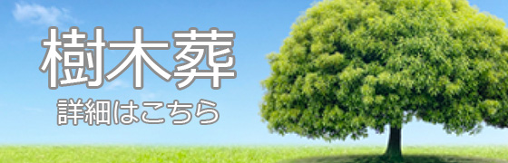 樹木葬のご案内
