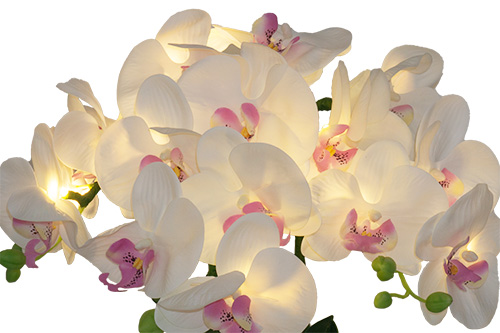 ルーミールミナス　LED灯