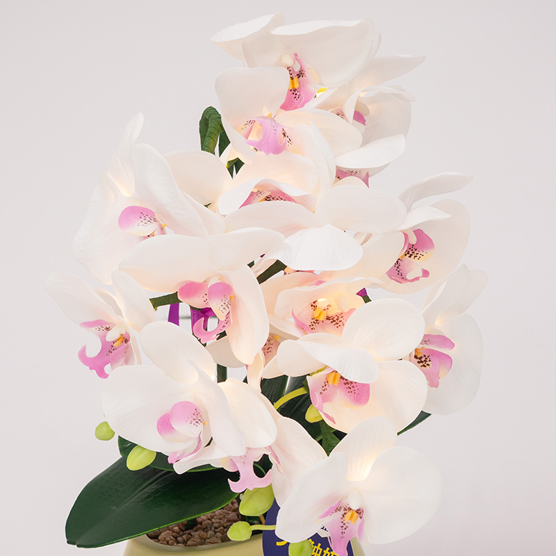 コードレスタイプ