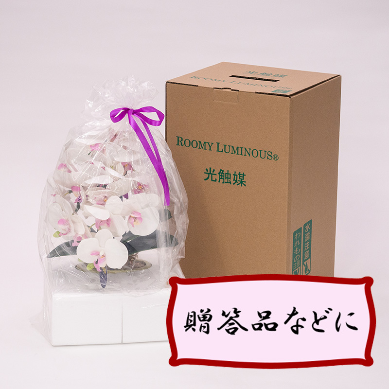 ルーミールミナス　LED灯