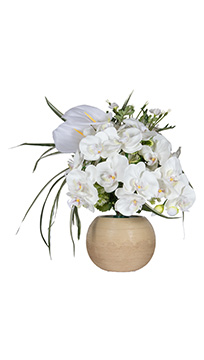 ルミナスアレンジ胡蝶蘭