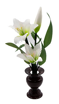 ルミナス リリー2号